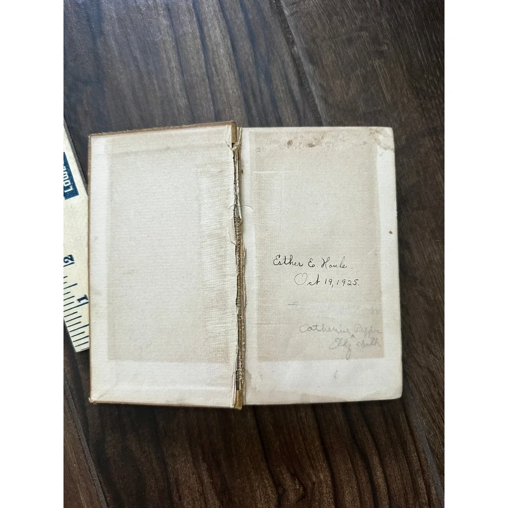 Beside the Bonnie Brier Bush Ian Maclaren 1895 Dodd Mead & Company Antique Book